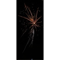 Rhino 16 Schuss, (NICO) – Bild 2