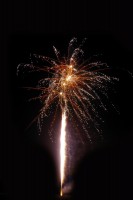 Golden Lances 13 Schuss (NICO) – Bild 2